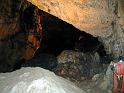 PIC00082