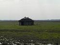 PIC00184
